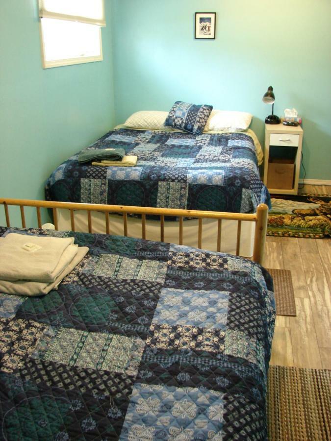 مبيت وإفطار وايتهورس Wild North Bed & Rest المظهر الخارجي الصورة